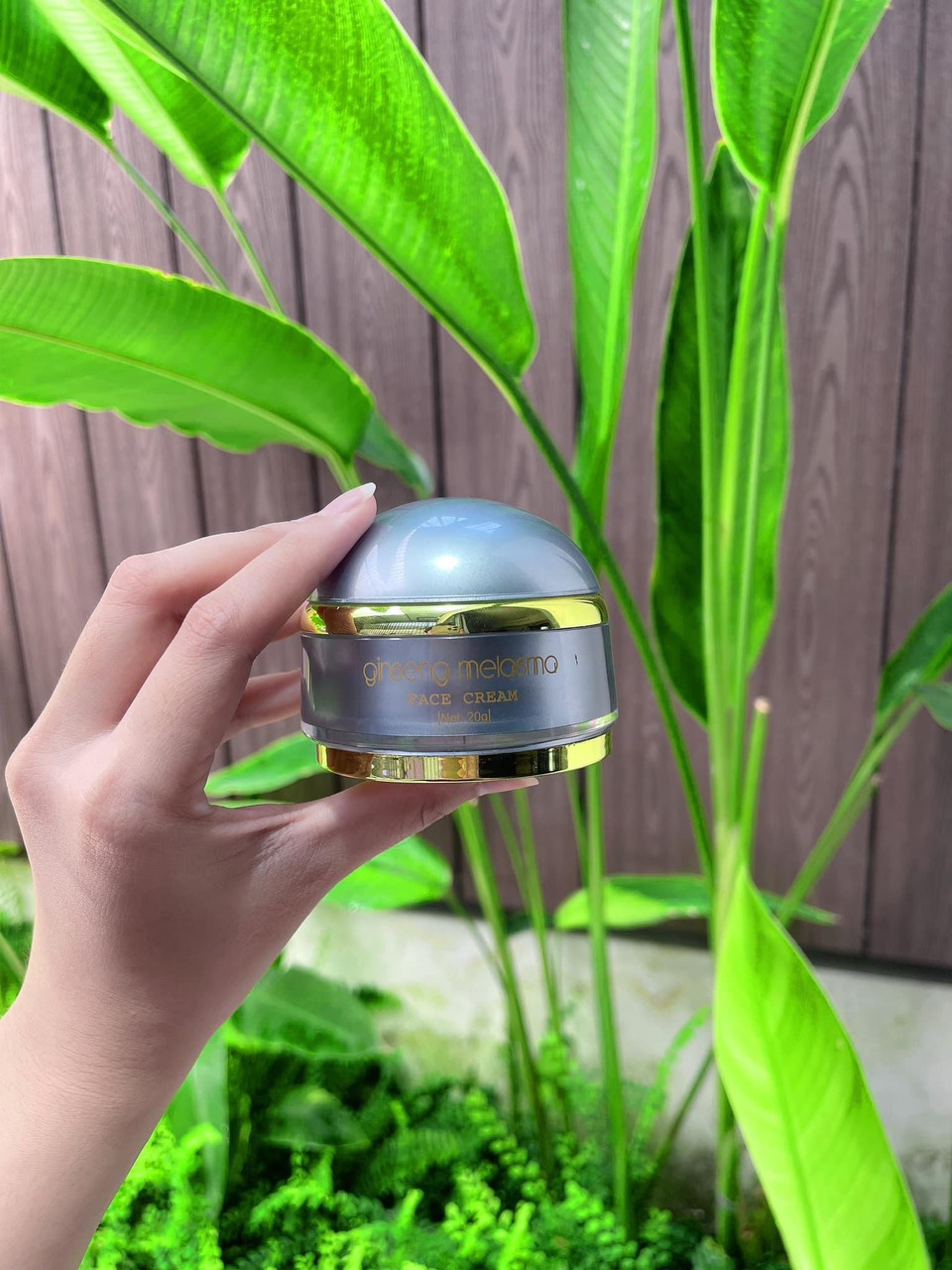 Face nám Nhân Sâm  dưỡng da chuyên sâu lâu dài giúp làm mờ các vết nám  tàn nhang  đồi mồi